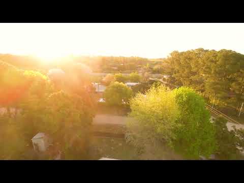 Día 2:  Podando hojas de  enredaderas con DJI Avata. Arroyo Leyes, Santa Fe