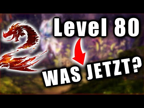 Ich bin Level 80 - WAS JETZT?  - Guild Wars 2