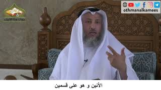380/268 الأنين وهو على قسمين - شرح كتاب مختصر العقيدة مجزء - الشيخ الدكتورعثمان الخميس
