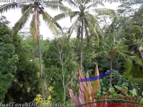 2.600 m2 Lahan view sawah sungai dan tebing di Ubud TJUB421 2.600 m2 Lahan view sawah sungai dan tebing di Ubud TJUB421