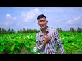 ខ្យងដក់ទឹកជន ថាញ់ពីសិទ្ធិ​​ I Kjong Kdok Tek Jun