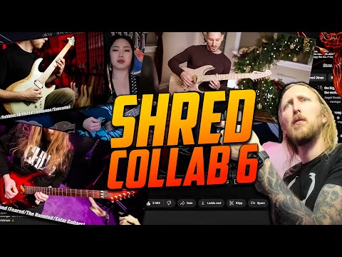 SHRED COLLAB 6 REACTION - PICKING MY FAVORITES