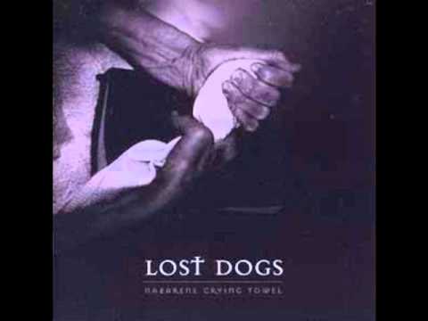 Come Down Here - Lost Dogs