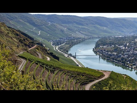 Wandelen langs de Moezel - Moselsteig etappe 11 - Bernkastel Kues-Ürzig
