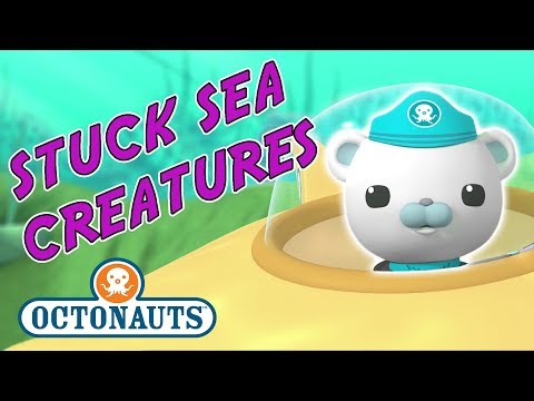 Stuck Sea Creatures - Octonauts Here to Help
