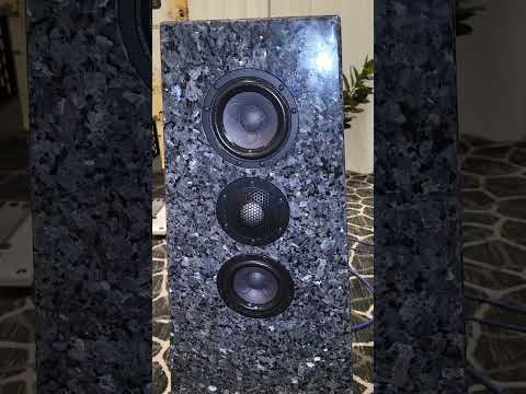 VAC Electronics & Acora Acoustics VRC Flagship Loudspeaker!!!!🔥🔥🔥