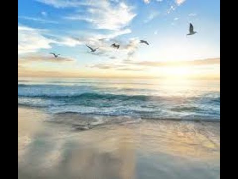 AMALEK EST L’OBSTACLE A LA DELIVRANCE - Rav Dynovisz  ZOHAR