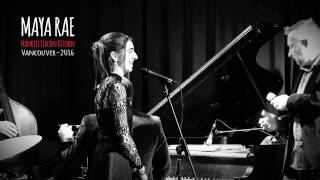 A Shine On Your Shoes   Live Performance HD