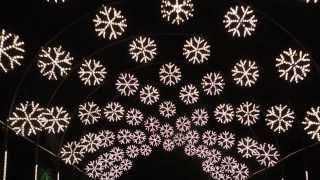 Prescott Valley Holiday Lights