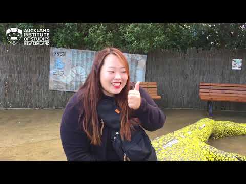 Welcome students from Busan, South Korea to New Zealand