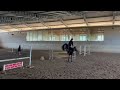 Bellissima pony femmima sella italiana 2017 da salto