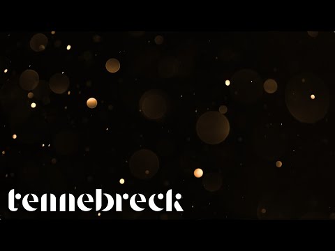 Tennebreck vs. The Weeknd, Madonna, Playboi Carti - Popular | Remix