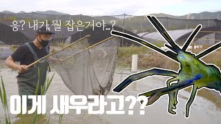 아이들과 함께 즐기는 칠곡 덕산수목원 큰징거미새우잡기 [하이스토리텔러]