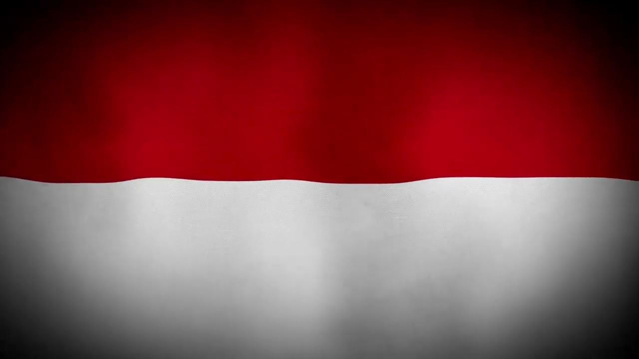 Indonesian Flag Waving | Independence Day #indonesia #flag #wavingflags #independenceday #indonesian