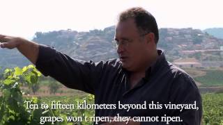 preview picture of video 'Rioja: Introducing Adrian Murcia'