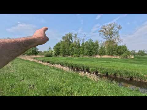 Wonnemonat Mai im Elbe-Weser-Dreieck erste Impressionen - Kuckuck ruft, Frosch quakt