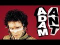 Simion Lee - Adam Ant - Image Of Yourself
