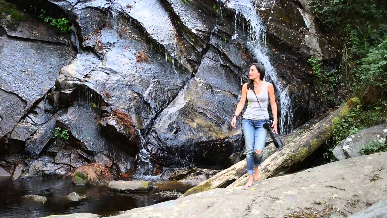 Shannon Wild   Trailer