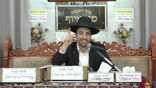 הרב מאיר אליהו | הניסים הנסתרים | מוסאיוף כסלו תשפ"ו (רבנים שונים) - התמונה מוצגת ישירות מתוך אתר האינטרנט יוטיוב. זכויות היוצרים בתמונה שייכות ליוצרה. קישור קרדיט למקור התוכן נמצא בתוך דף הסרטון הרב מאיר אליהו | הניסים הנסתרים | מוסאיוף כסלו תשפ"ו (רבנים שונים) - התמונה מוצגת ישירות מתוך אתר האינטרנט יוטיוב. זכויות היוצרים בתמונה שייכות ליוצרה. קישור קרדיט למקור התוכן נמצא בתוך דף הסרטון