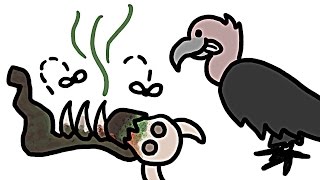 ハゲワシやハイエナは なぜ腐肉 ふにく を食べても病気にならないのか 知力空間 ハゲワシやハイエナは なぜ腐肉 ふにく を食べても病気にならないのか 知力空間