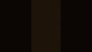 Download lagu dj raja mexico mp3