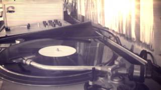 Wild Beasts - Loop the Loop (D-Pulse edit)