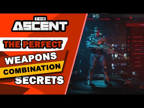 The best weapon combination for all types of targets | One weapon has 2 types of damage | The Ascent