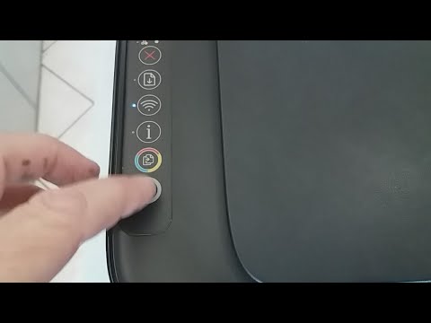 Vídeo: Xerox na HP: perguntas e respostas para copiar