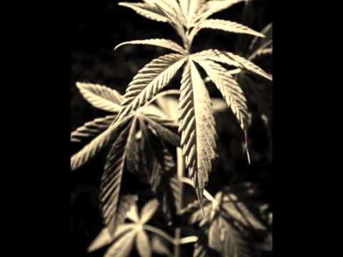 GHETTO SMOKE - NATURAL WAI KEI [LEONES POR NATURALEZA] 2012