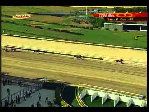 Resumen Domingo, 01 de Febrero de 2015 - La Rinconada