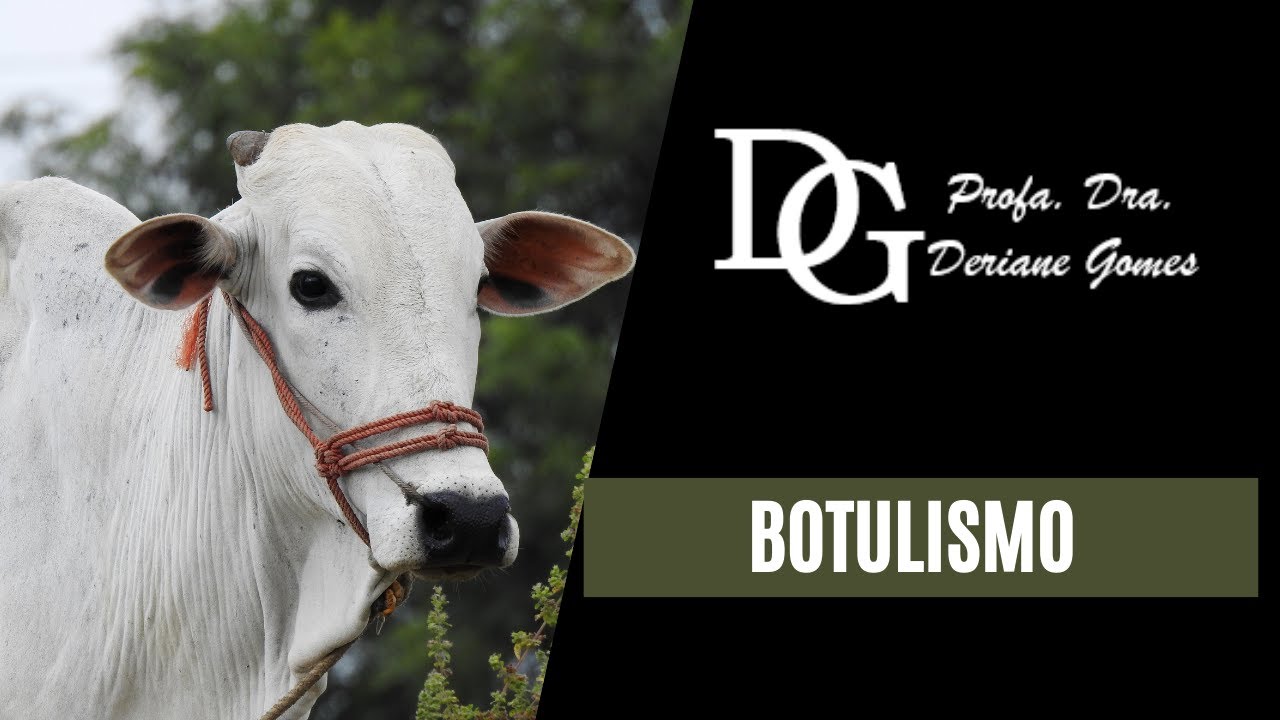 006. Botulismo: Intoxicação pela toxina botulínica (Clostridium botulinum)