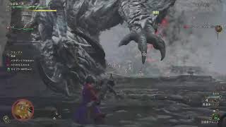 【モンハンワイルズ】超心珠IIIを求めて #1