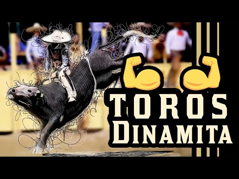 Reparos SELECTION! The Best Riders! Great Bulls! Bull Riding