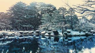 ギター弾き語り🎸なごり雪❄️covered byS.Yazawa🍀🍀🍀