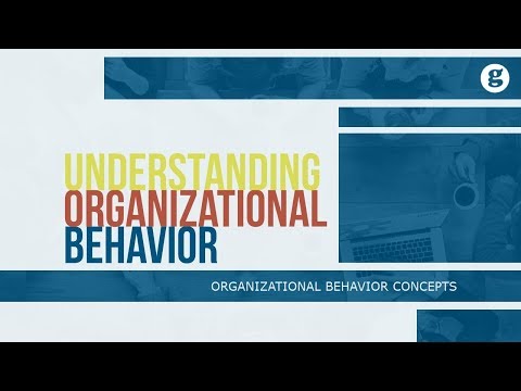 What is Organizational Behavior