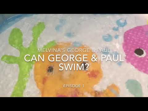 Can My Cats Swim? Episode 1