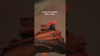 Download lagu Status WhatsApp Sion | Status Sendiri | Anime Depresi | #shorts mp3 Download lagu Status WhatsApp Sion | Status Sendiri | Anime Depresi | #shorts mp3