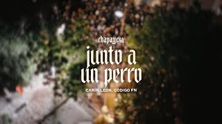 Junto A Un Perro (En Vivo) Lyrics English Translation