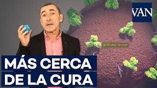 Así se ha curado el segundo paciente de VIH de la historia