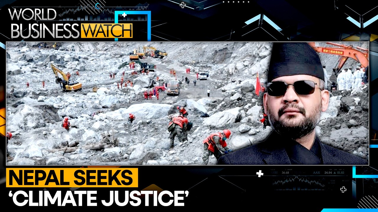Nepal Seeks $5Bn for Five-Month Rebuilding Plan | WION World Business Watch