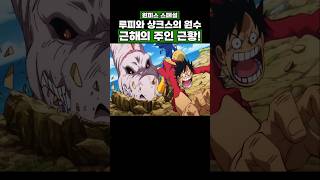 최신화) 루피와 샹크스의 원수 근해의 주인 근황! #onepiece #원피스