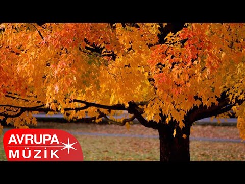 Sevda - Seni Seviyorum (Official Audio)