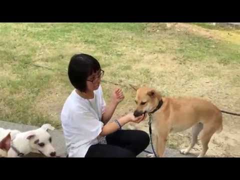 Alima is good with stranger