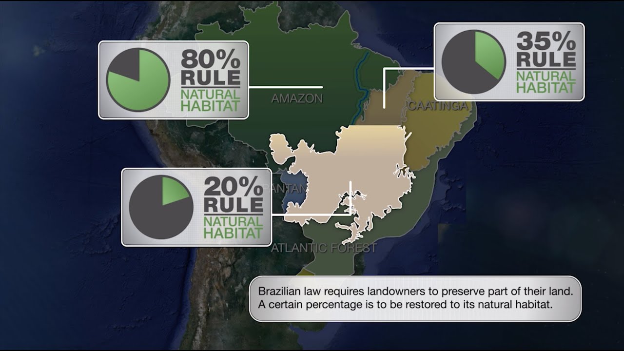 The Araguaia Biodiversity Corridor