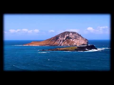 Flower Stock Footage   Garden   Nature/nasrin personal vlog (no copyright)