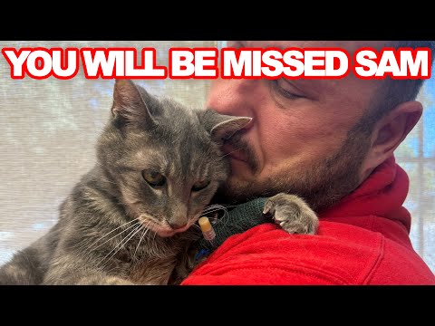 Samson Barbour You Will Be Missed - We Will See Our Beloved Pets Again