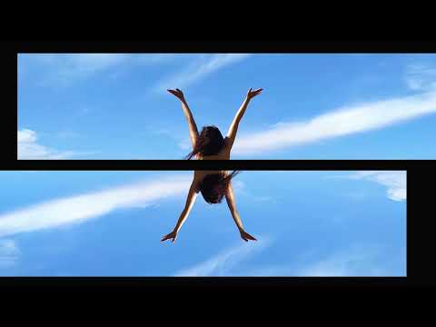 Catalina Abril — El vuelo de las aves