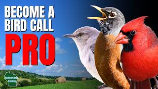 Learn These 7 Bird Calls To Impress Your Friends!