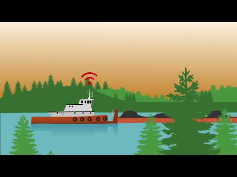 Educational Video Animation