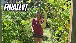 Our Summer Garden Is Finally Producing! ๐
๐ฟ | Garden Tour & Harvest